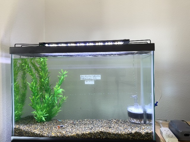 Amazon.com : Aquapapa Corner Filter Air Driven Bio Sponge